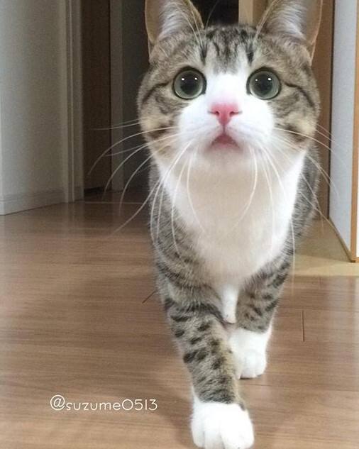 九游-?"Su;?I?)??q的简单介绍